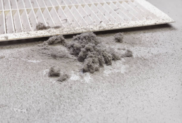 Best Local Air Duct Cleaning Services  in Ptland, OR